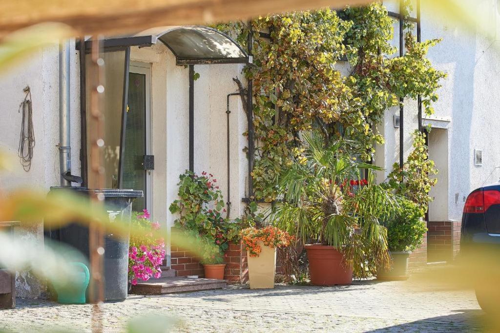 Apartmán Schwalbenhof Woellnau Doberschutz Exteriér fotografie